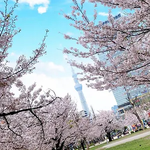 The Bonds 東京都
